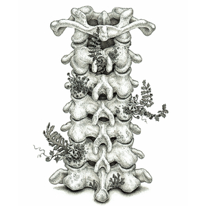 偷窥日本少妇撒尿
